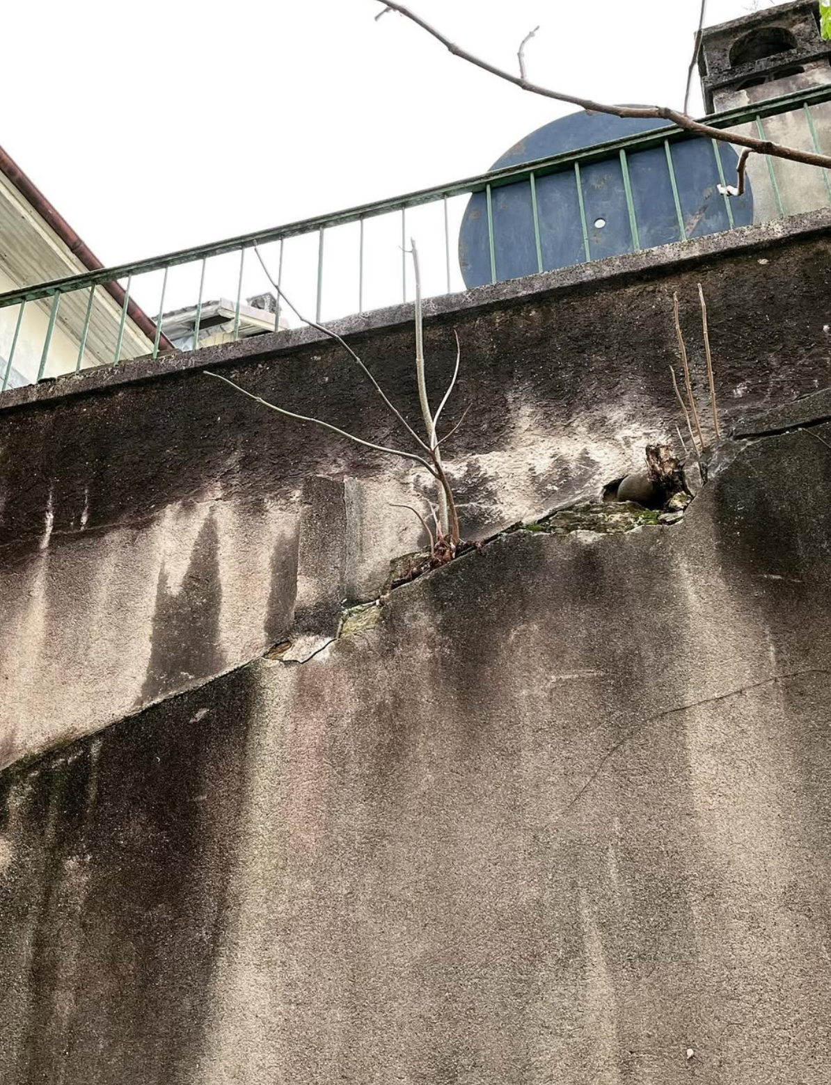 Partie supérieure du mur en béton fissurée avec végétation avant intervention
