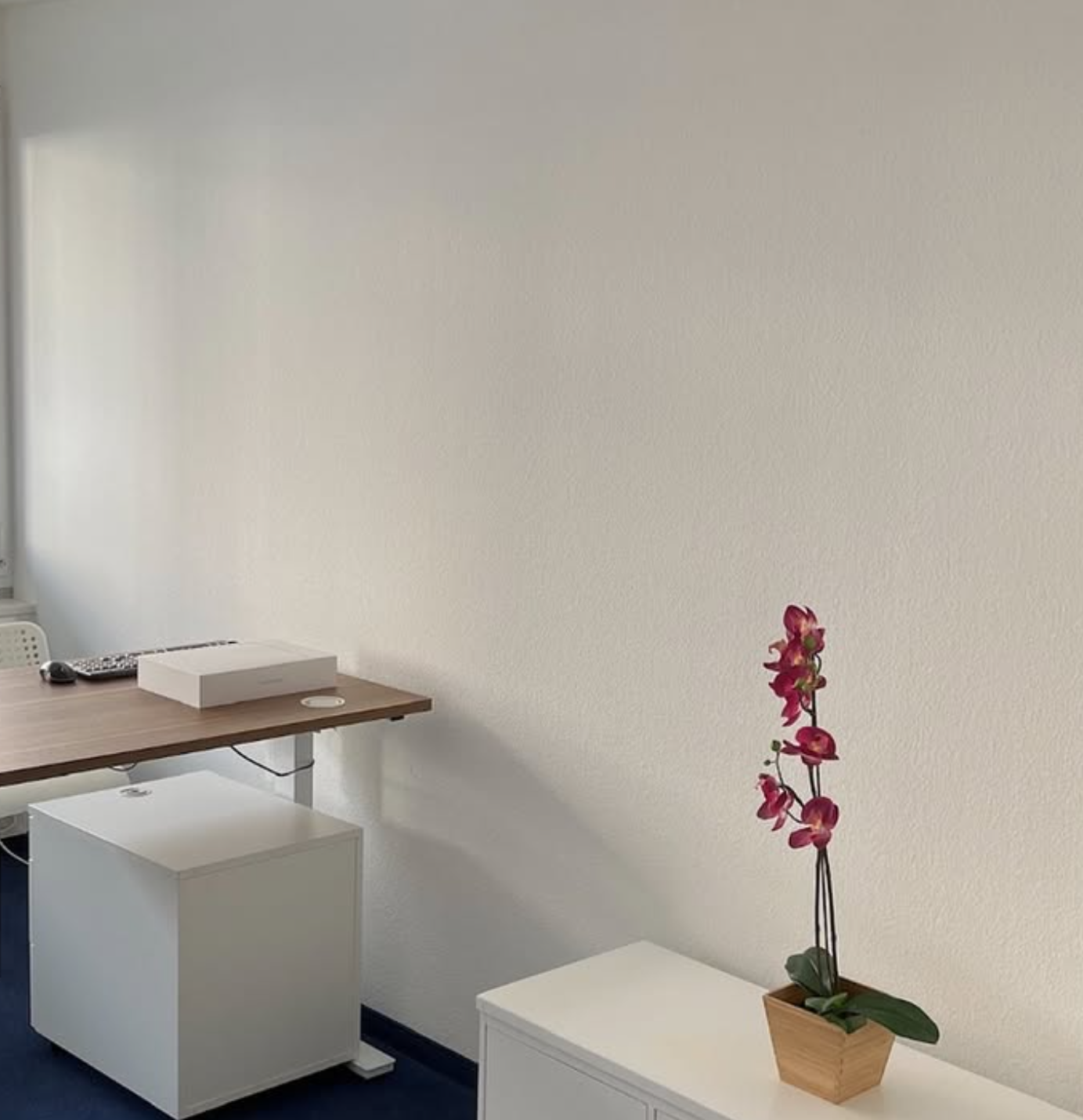 Mur remis en état dans le bureau transformé à Lausanne