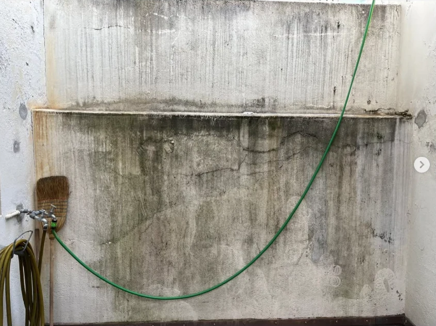 Mur marqué par l'humidité et les moisissures avant intervention